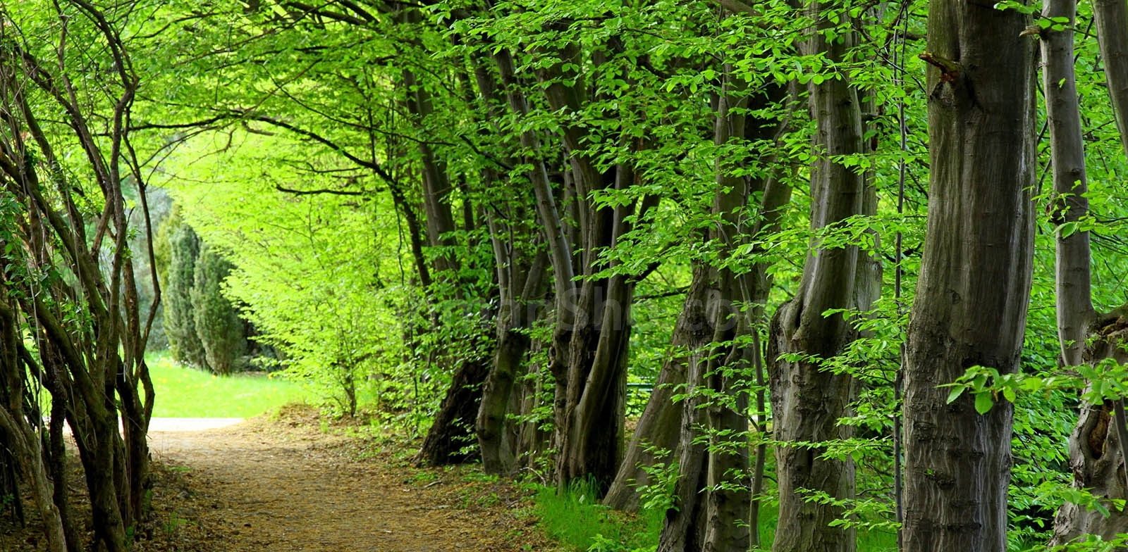 سفر به نوشهر، بندر سبز ایران