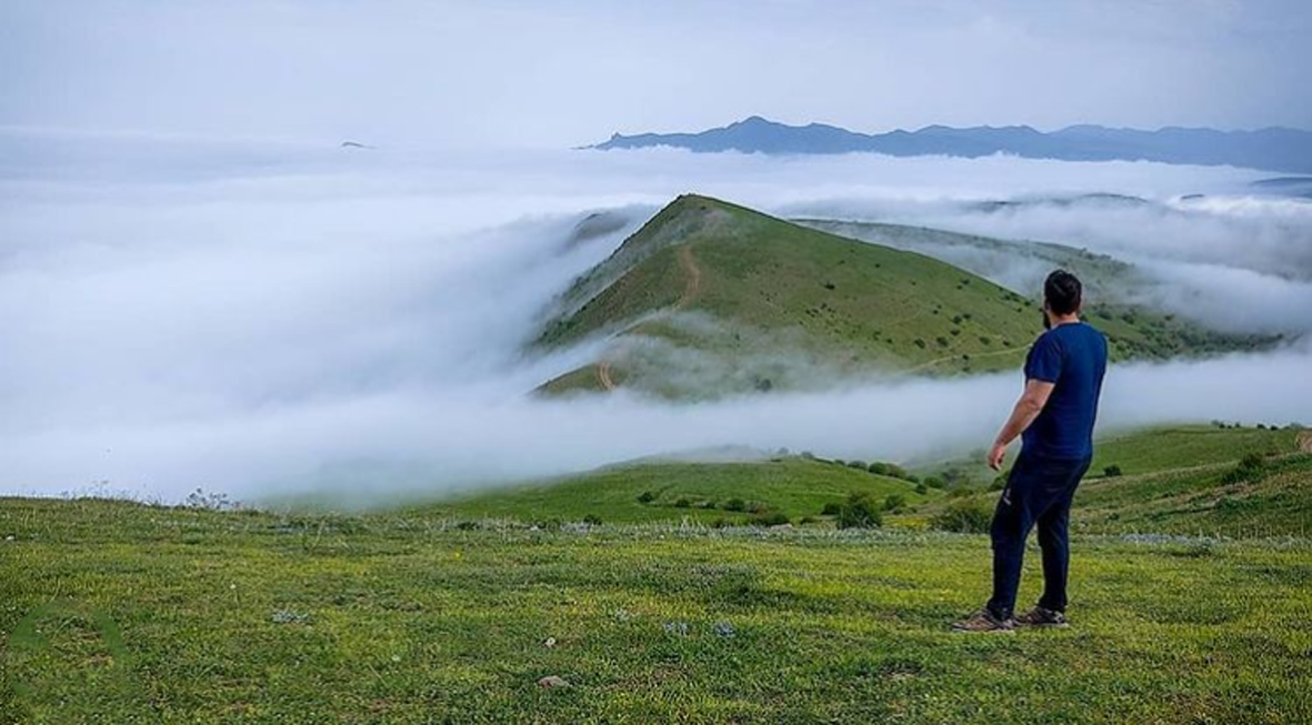 جنگل فندقلو کجاست همراه با عکس و نقشه