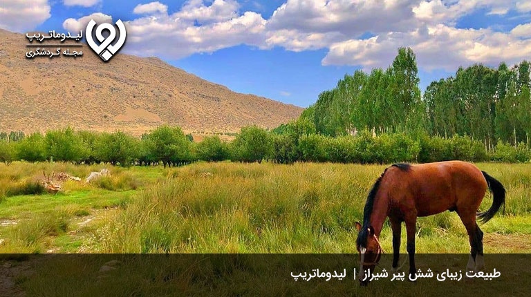 تجربه-سفر-ارزان-به-شیراز