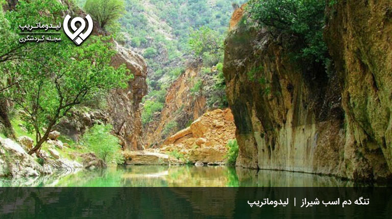 تنگه‌های-رویایی-شیراز