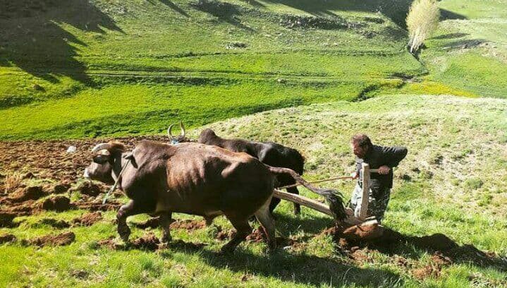 روستای خان کندی زیباترین روستاهای گردشگری اطراف اردبیل