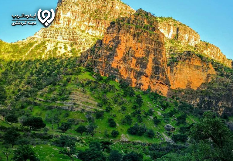 دیدنی‌های-شیراز-شیراز-کجا-بریم؟