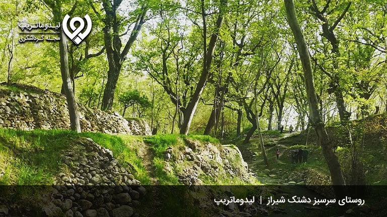 روستای-سرسبز-دشتک
