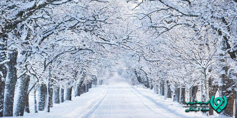 جاهای دیدنی و تفریحی شیراز در زمستان