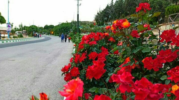 پارک شورابیل اردبیل با عکس و آدرس