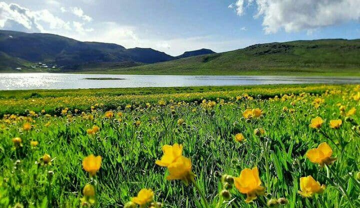 دریاچه نئور جاهای دیدنی و دیدنی های اردبیل