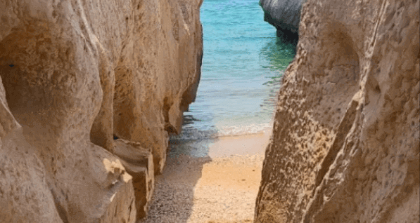 ساحل سنگ مرغان جزیره هرمز