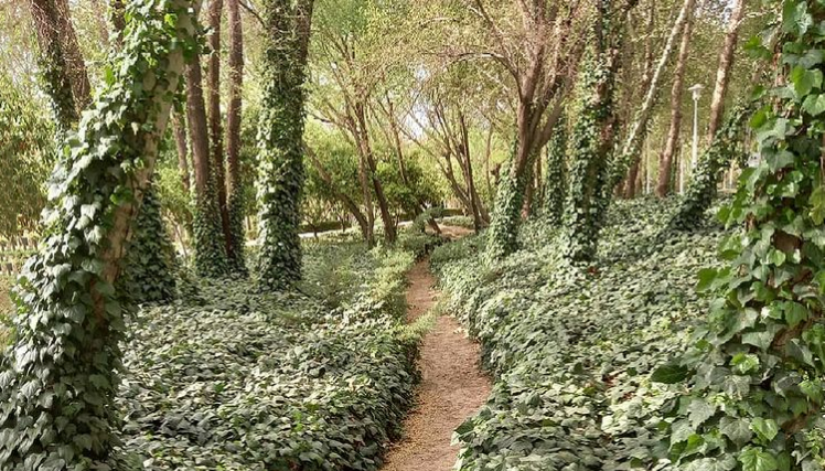 پارک مشتاق از پارک های اصفهان