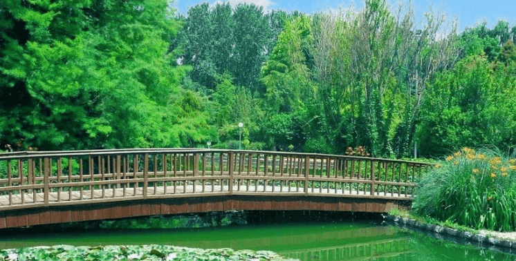باغ گل های اصفهان