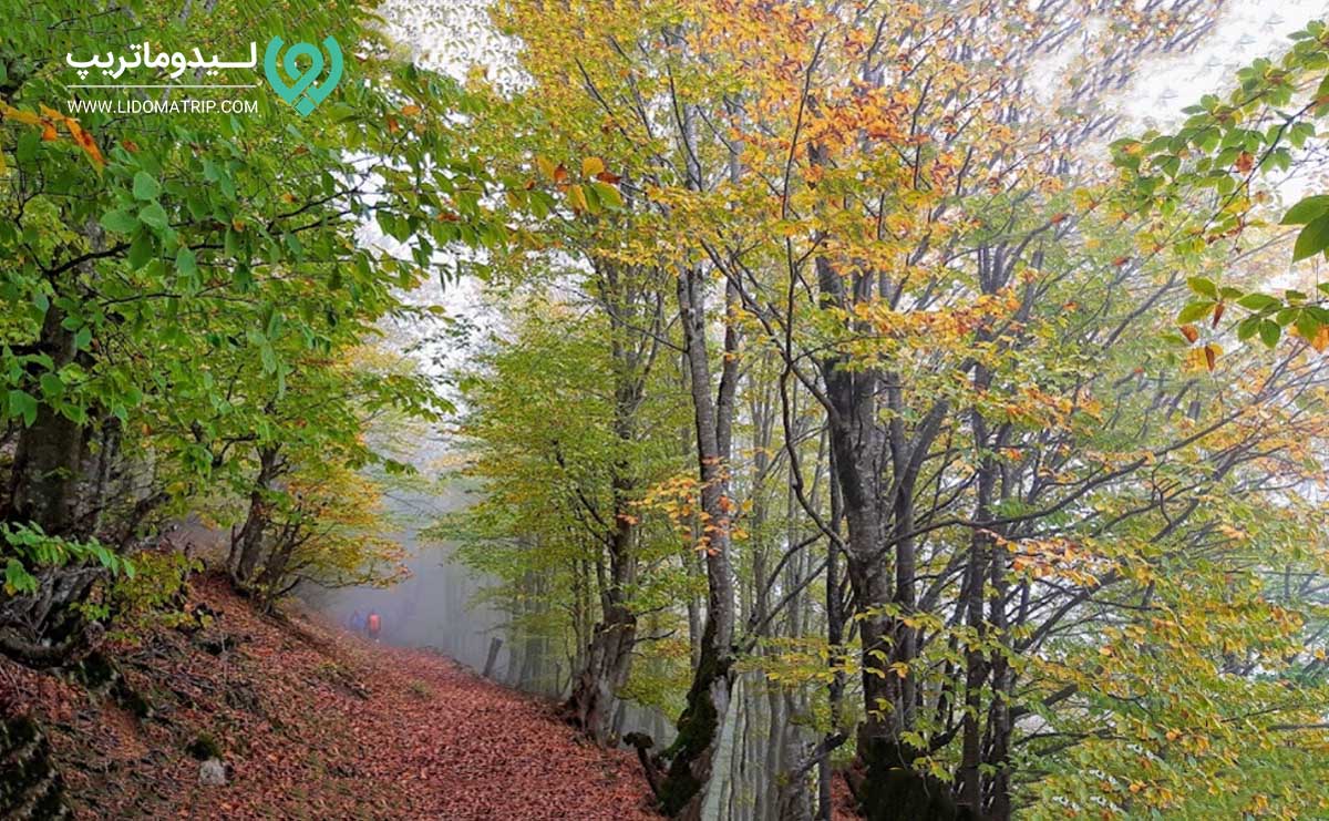 گردنه حیران کجاست؟