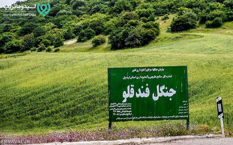 جنگل فندقلو از دیدنی های اطراف گردنه حیران