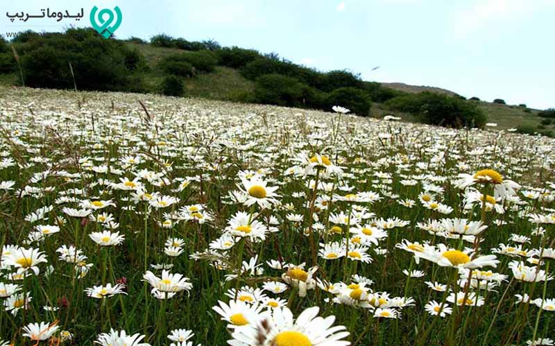 دیدنی ها گردنه حیران