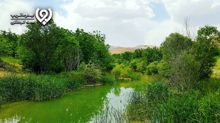باغ-تفریحی-سپیدان-شیراز-جاذبه های گردشگری و جاهای دیدنی سپیدان شیراز