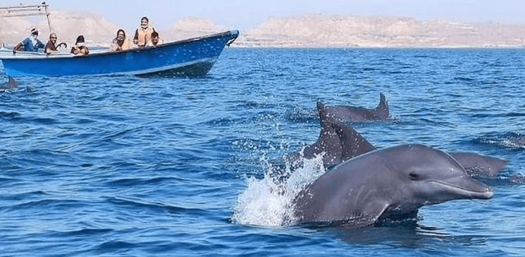 جزیره هنگام از دیدنی های قشم