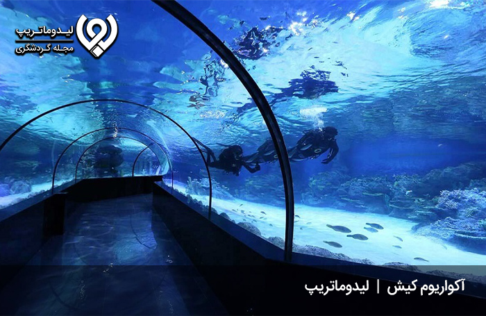 آکواریوم-کیش