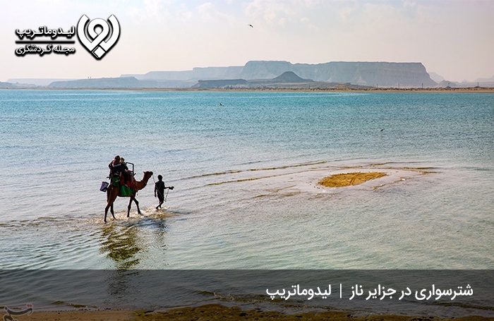 اسب-و-شتر-سواری