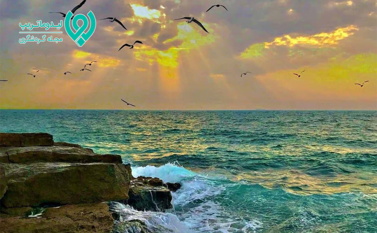 جاهای دیدنی و گردشگری بوشهر