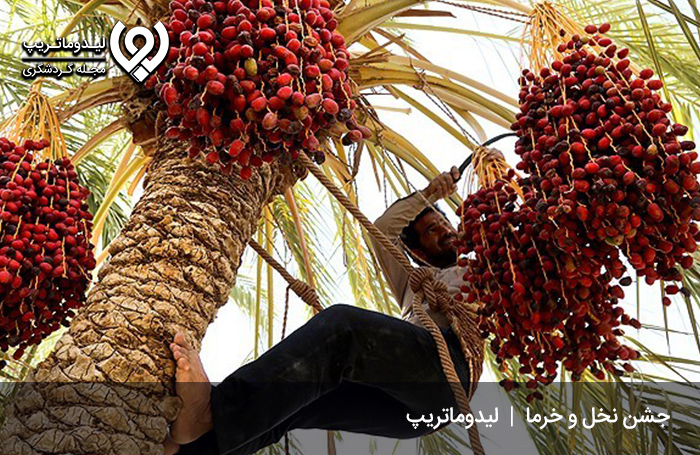 جشن-سنتی-نخل-و-خرما