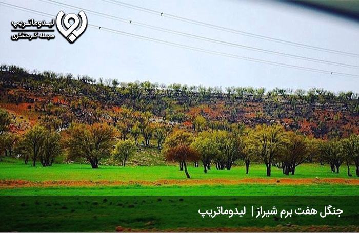 جنگل-هفت-برم