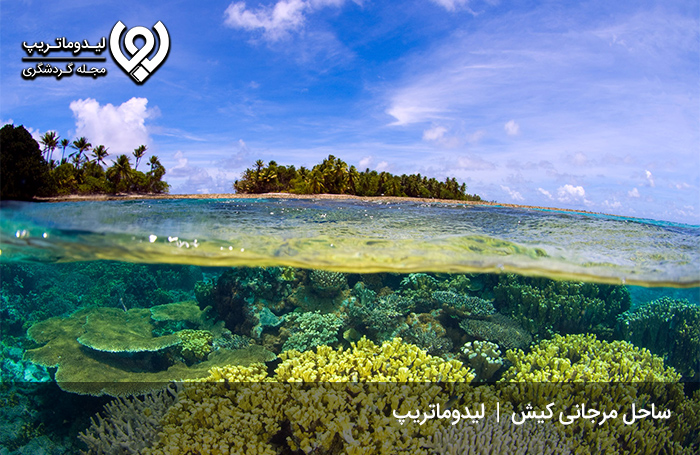 ساحل مرجان کیش؛ زیباترین ساحل خلیجفارس