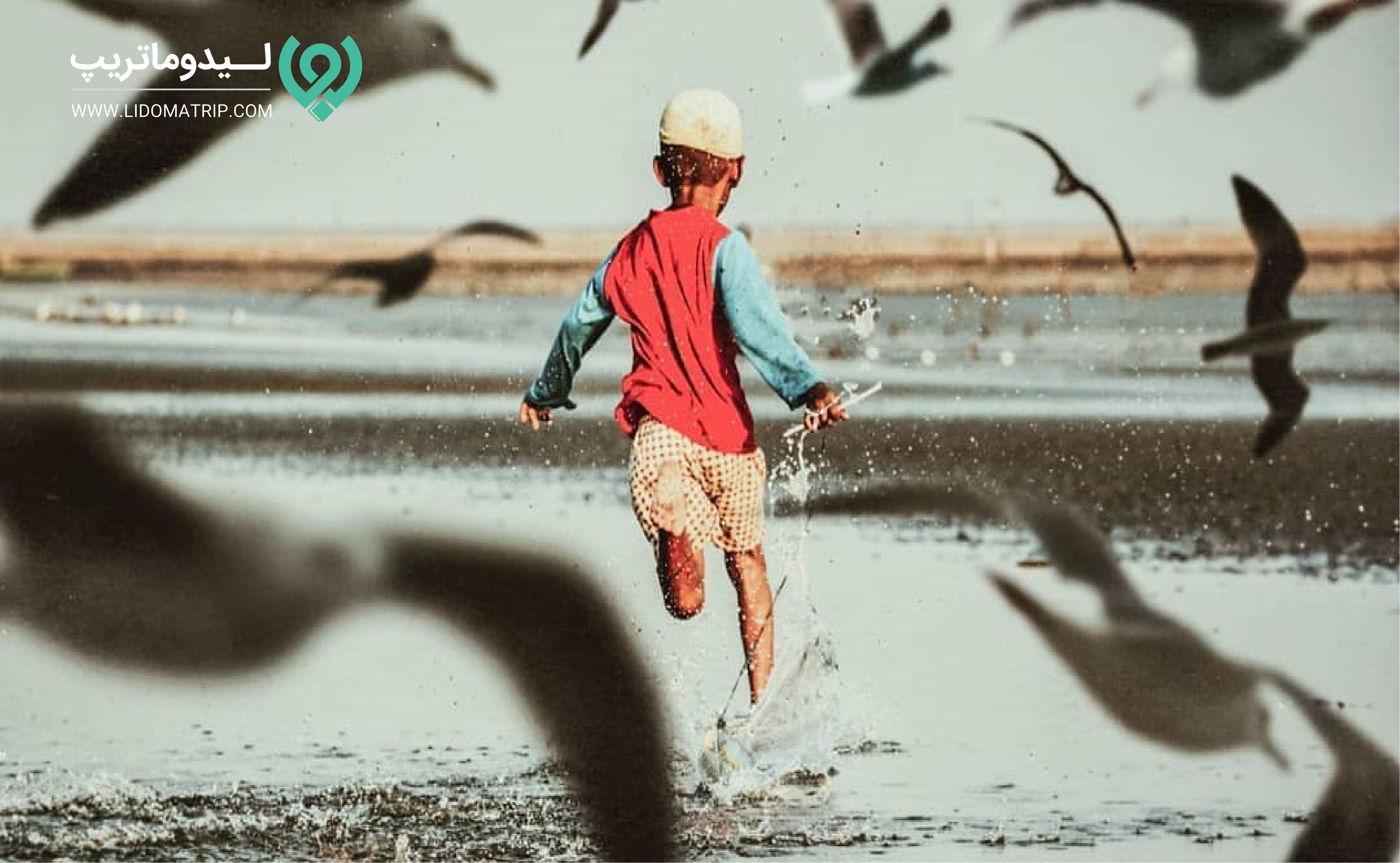 جزایر اطراف قشم را به طور کامل بشناسید
