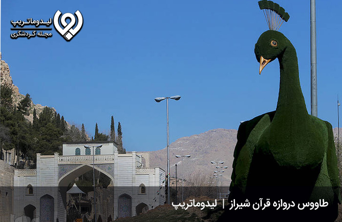 عکس-طاووس-دروازه-قران-شیراز