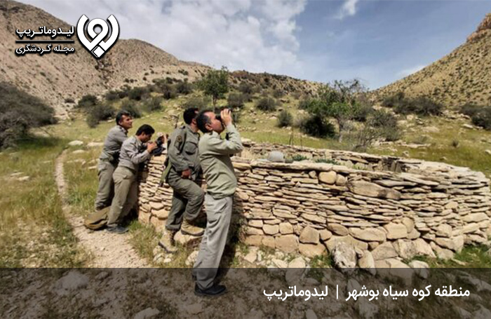 منطقه-شکار-ممنوع-کوه-سیاه؛-زیستگاهی-برای-7-هزار-جانور