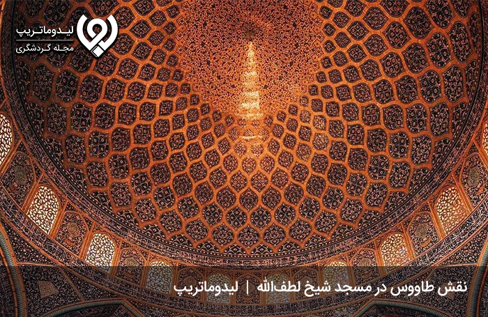 نقش-طاووسی-ناقص