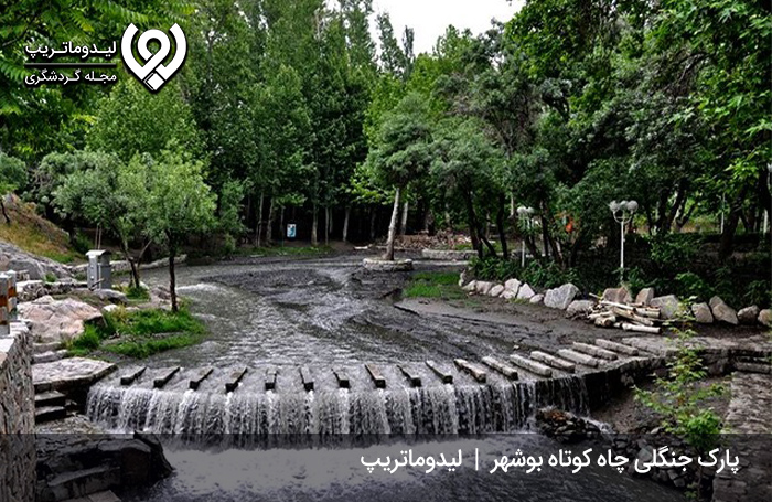 پارک-جنگلی-چاه-کوتاه؛-جاذبه‌ای-با-قدمت-40-ساله