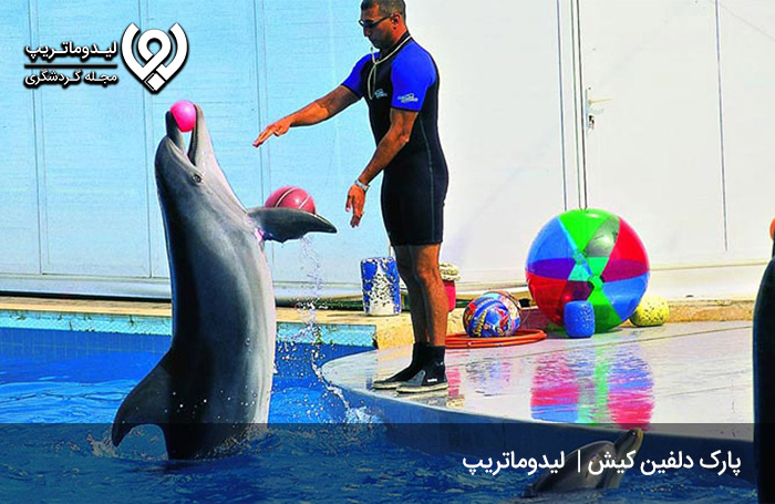 پارک-دلفین-کیش