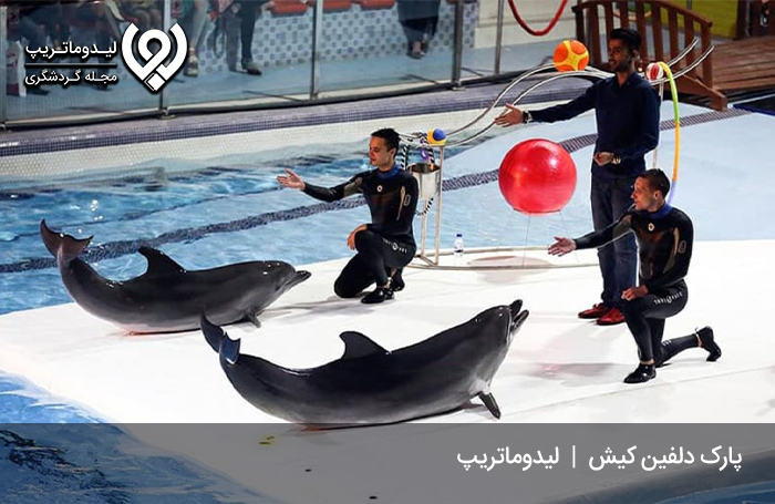 پارک-دلفین