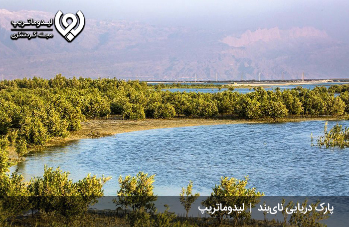 پارک-ملی-نای-بند؛-اولین-پارک-ملی-دریایی
