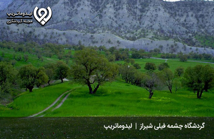 چشمه-فیل-شیراز