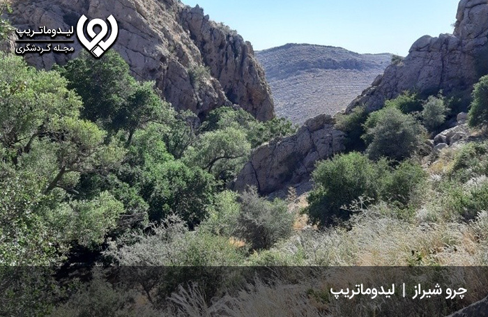 چشمه-چرو-شیراز