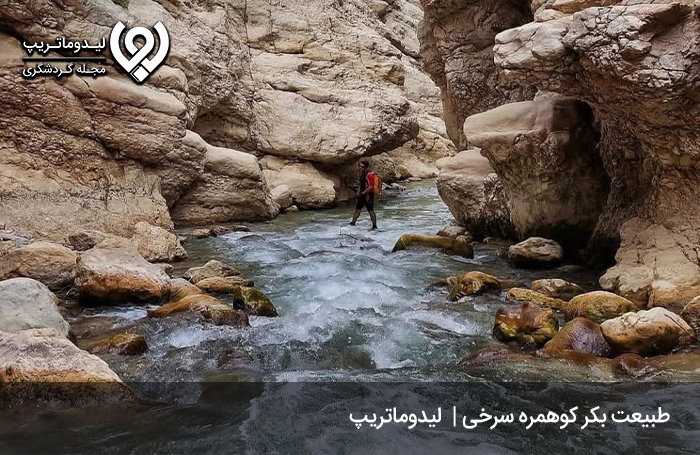 کوهمره سرخی شیراز