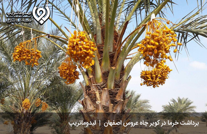 کویر-چاه-عروس-اصفهان