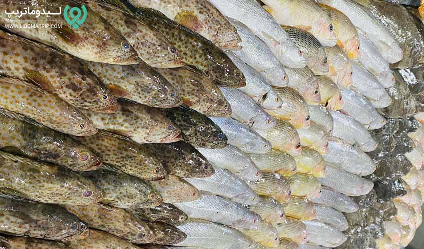 راهنمای خرید در سفر به گناوه