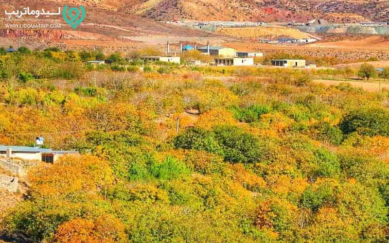 آب و هوای کرمان برای برنامه سفر به کرمان