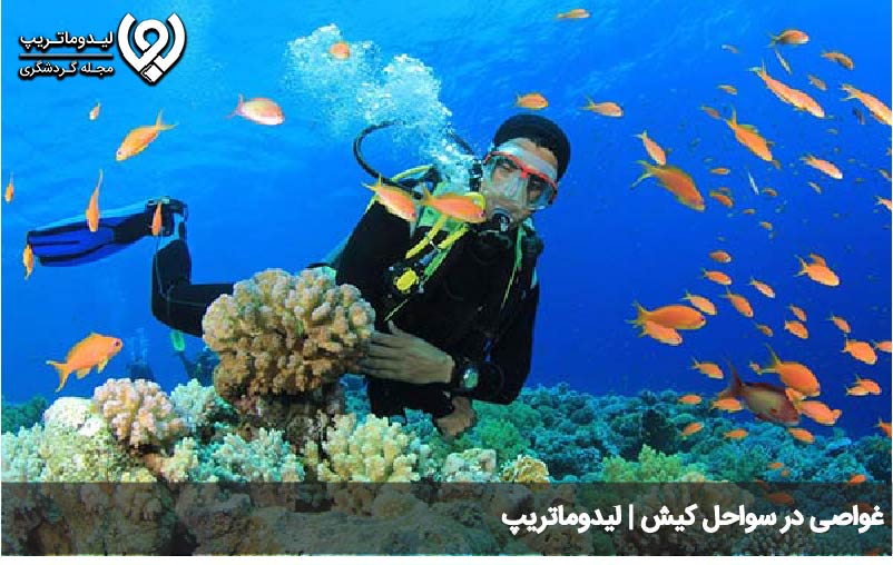بهترین ساحل کیش برای عواصی