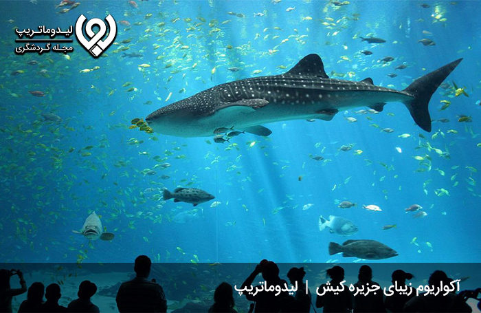 آکواریوم جزیره کیش؛ آکواریومی در قالب کشتی