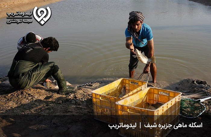 اسکله ماهی؛ جلوه زحمات بیدریغ ناخدایان