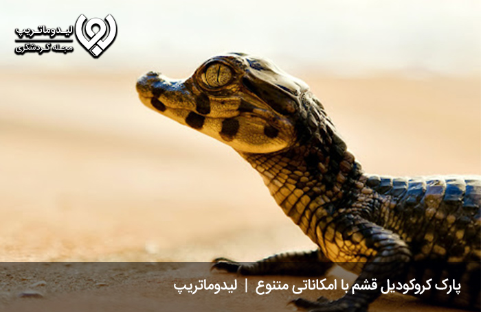 امکانات پارک کروکودیل در قشم