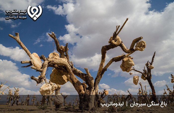 باغ-سنگی-سیرجان،-باغی-با-میوه‌های-سنگی