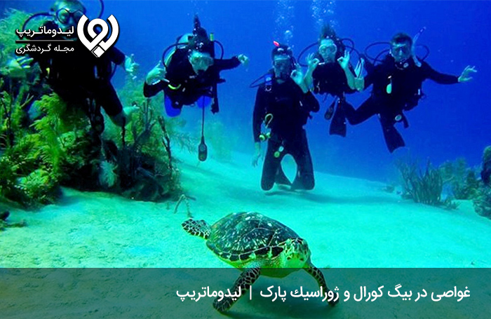 بیگ-كورال-و-ژوراسيك-پارک