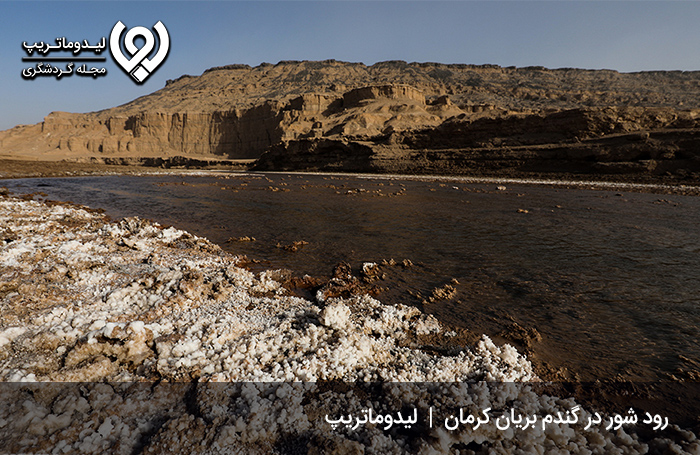 تصاویر دیدنی ناحیه گندم بریان