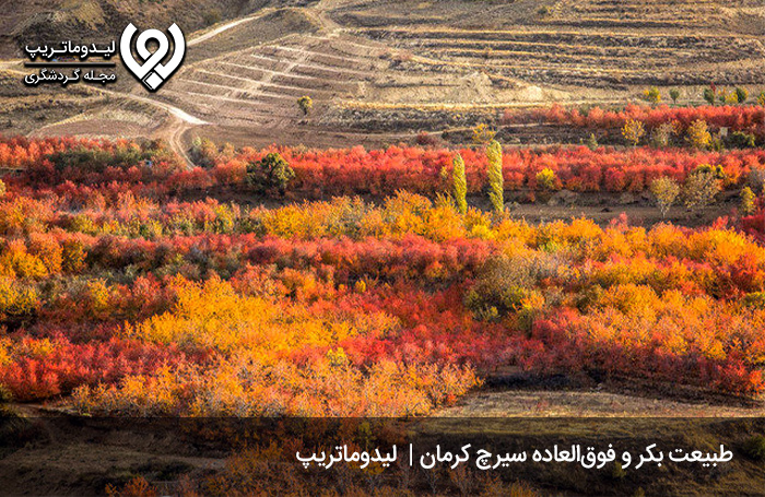 تفریحات-و-جاهای-دیدنی-کلوت-های-شهداد-کجاست؟