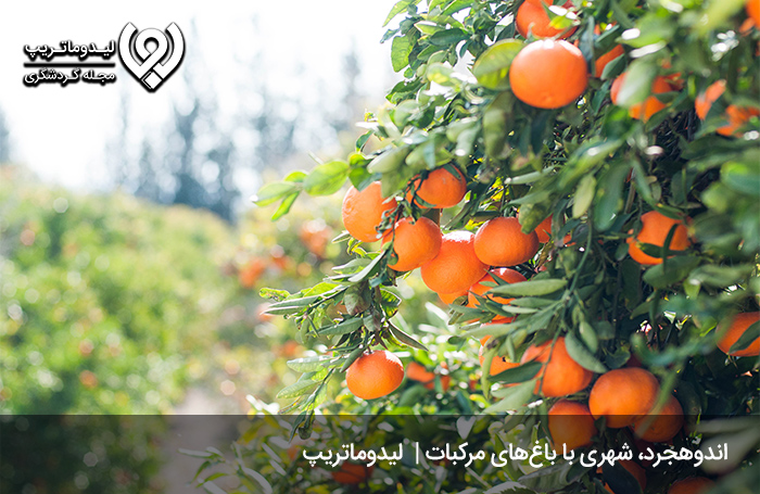 تفریحات-و-جاهای-دیدنی-کلوت-های-شهداد-کجاست؟