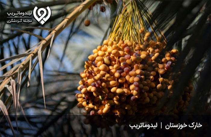 خارک؛ لذیذترین شیرینی بوشهر