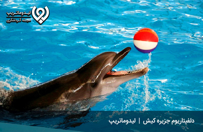 دلفیناریوم کیش؛ مجموعهای از انواع جانداران