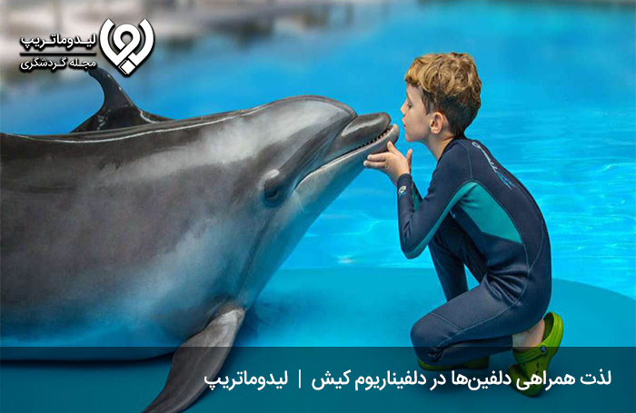 دلفیناریوم کیش؛ از تفریحات کیش برای کودکان